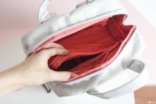 六款網紅雙肩包測評,哪款最值得買