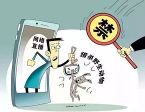 科技頻道 | 中國網(wǎng)信息咨詢平臺(tái) 連接科技與未來的信息樞紐