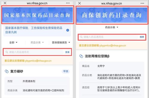 一文讀懂商保創(chuàng)新藥品目錄 定義、查詢方法與信息咨詢指南